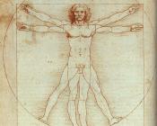 Vitruvian Man, Study of proportions, from Vitruvius's De Architectura